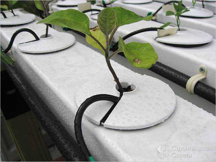 Регулировка длительности полива с учетом температуры воздуха