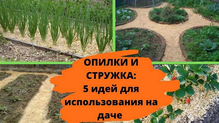 Какие древесные отходы выбирают для подстилки животным и почему