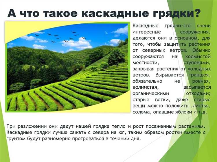 Как пермакультура отличается от традиционного земледелия