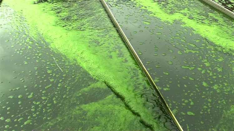 Как загрязнение или повреждение сенсоров нарушает работу системы