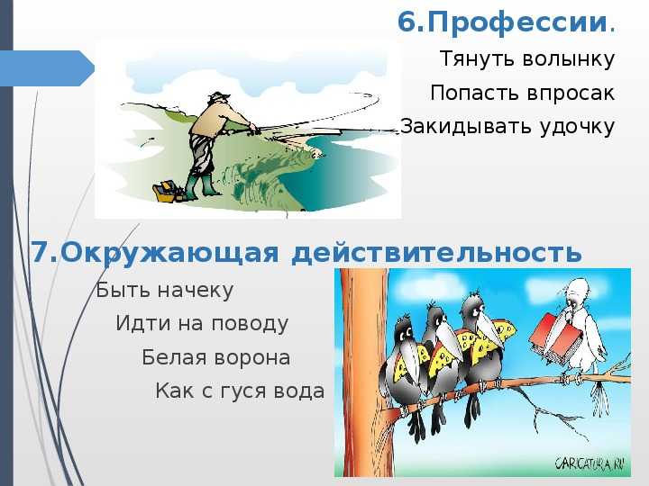 Риски для птиц при неправильном положении на проводах