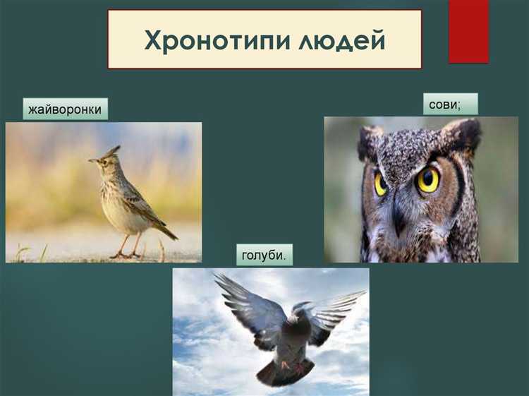 Почему птицы не чувствуют напряжение на одном проводе?