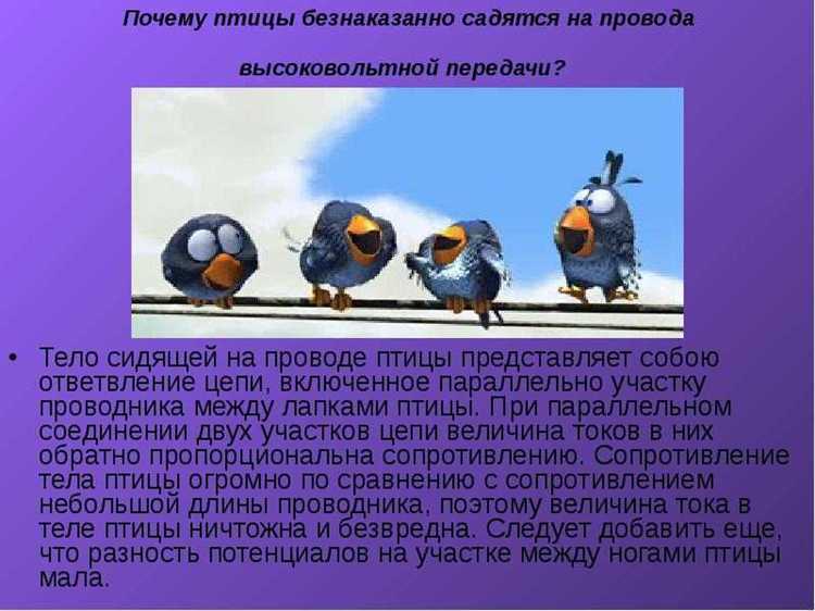 Почему птиц не бьет током на проводах