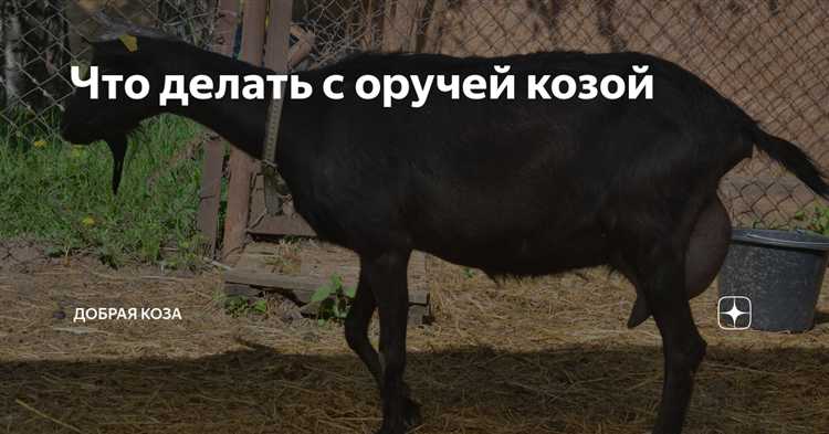 Влияние влажности на структуру рогов у коз