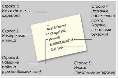 Как правильно писать с т в официальных документах и заявках