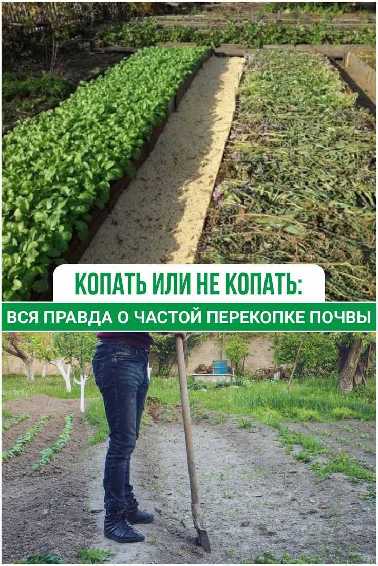 Там где была сажа копоть