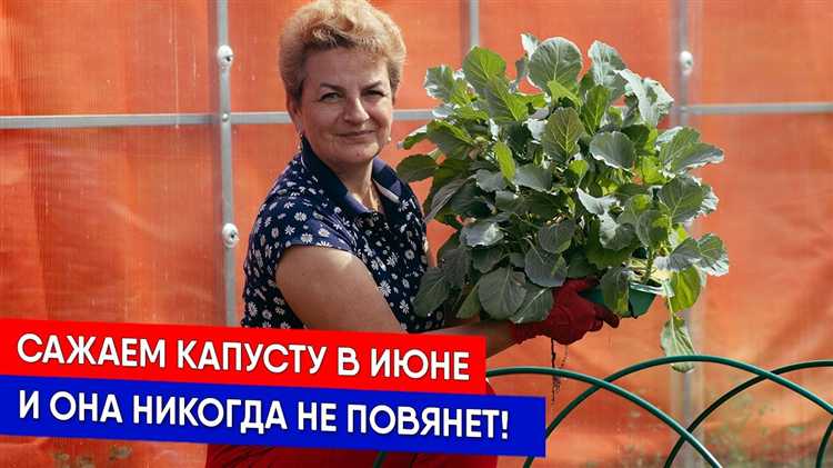 Реставрация керамических предметов