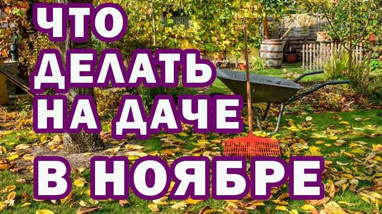 Как повлияют первые заморозки на работы по обрезке деревьев и кустарников