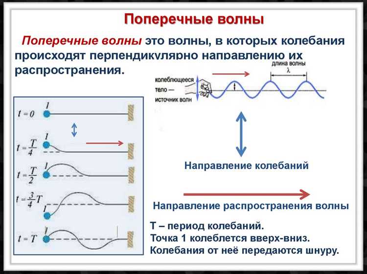 Как измерить параметры звуковой волны в зависимости от её типа